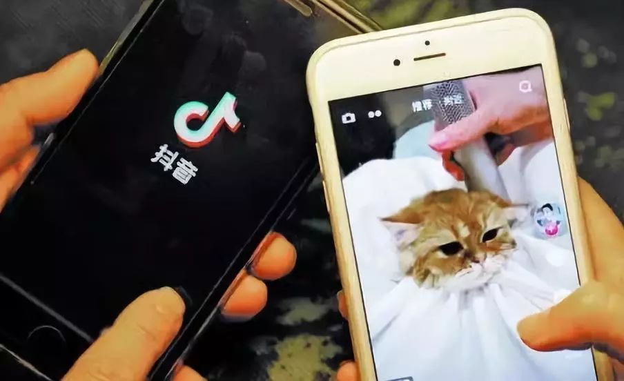 抖音7天养号详细教程步骤解析缩略图